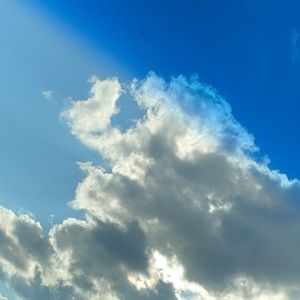 Meet your Posher, Annie